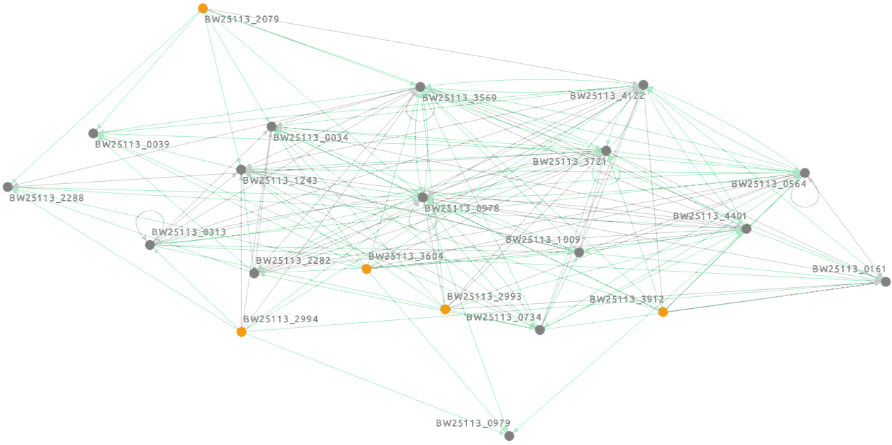 Ecoli_BN_visualized