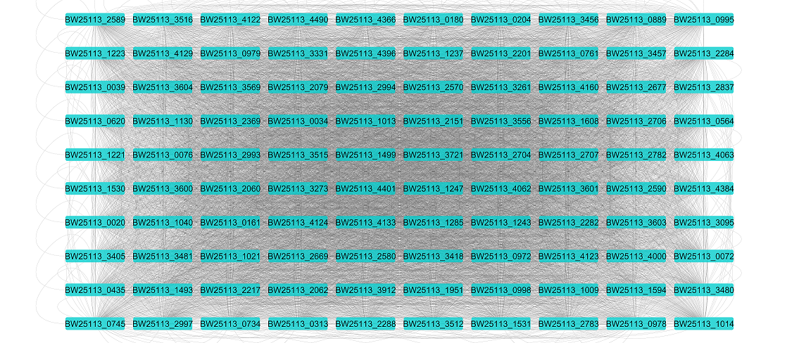 Ecoli_GRN_visualized